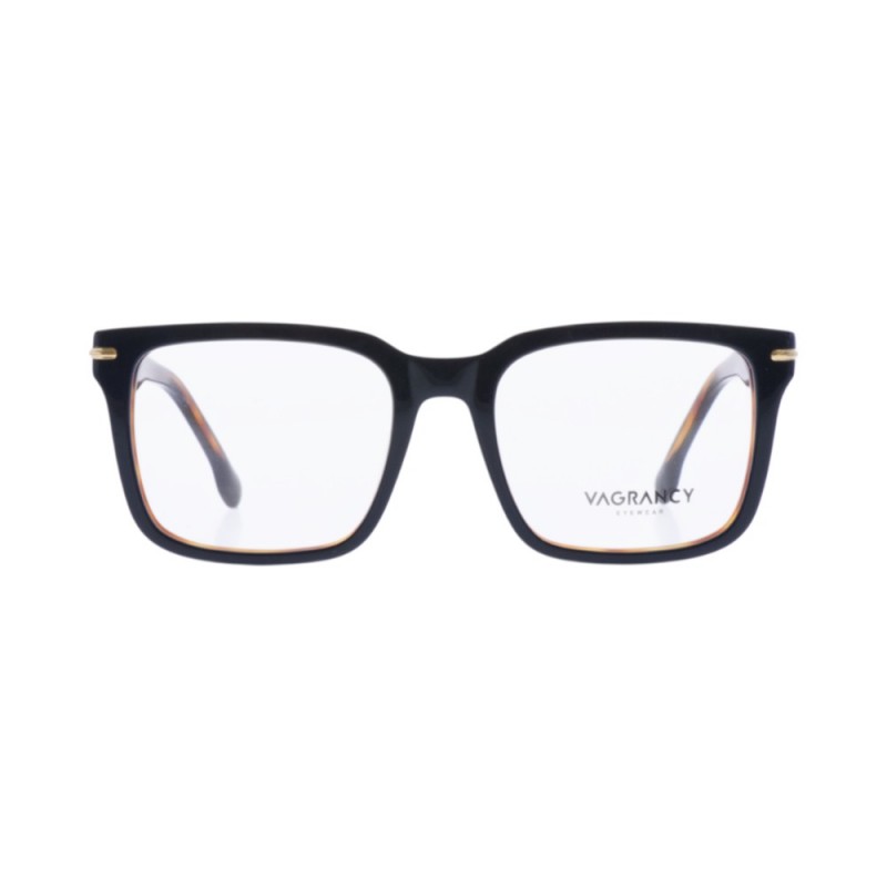 VAGRANCY AS91028  C2 54-20-150