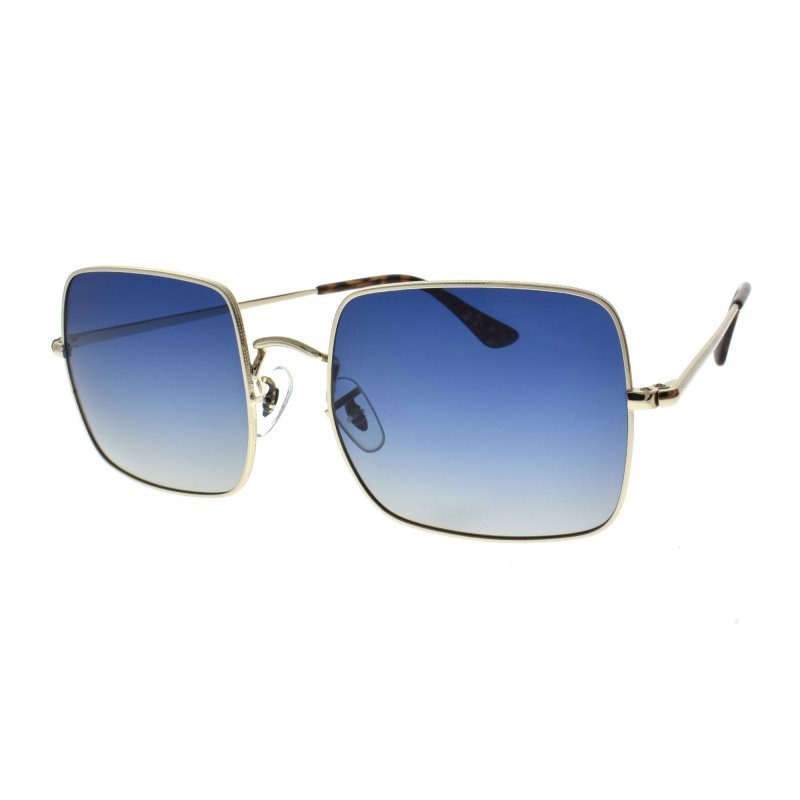 SUNGLASSES ENZO AK17108C04 54-19-145