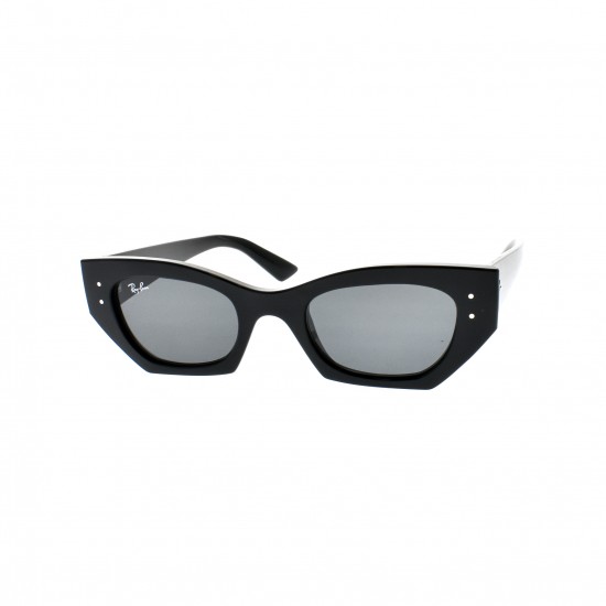 RAY-BAN 4430 667787 49-22-145