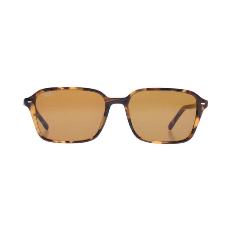 RAY-BAN 2231 141833 58-18-145 RAY-BAN 2231 141833 58-18-145