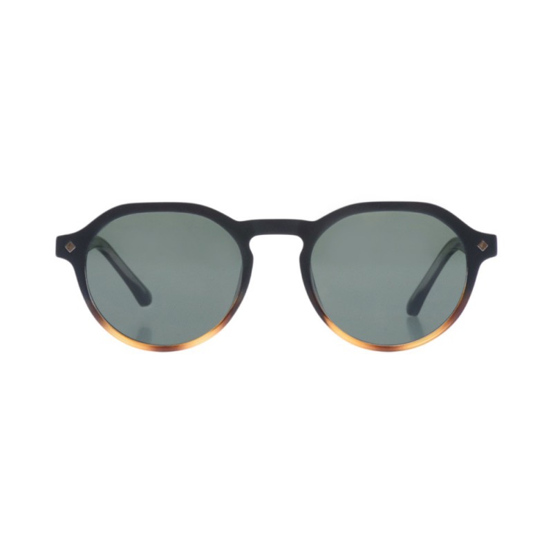 ENZO 6509  C2 49-20-148