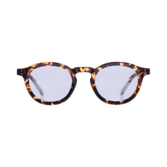 ENZO 6260  C3 51-21-146