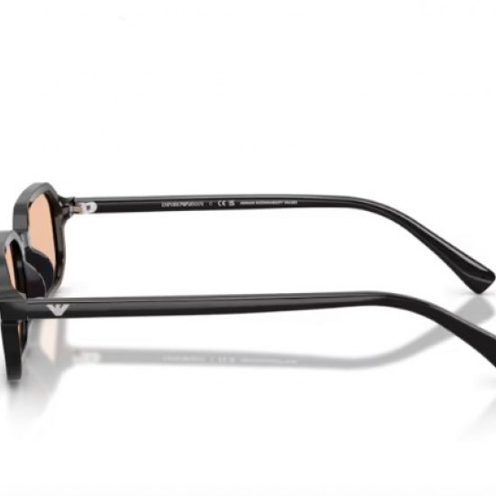 EMPORIO ARMANI 4253U 501793 54-21-145