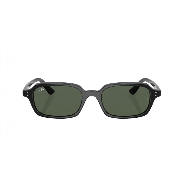 RAY-BAN 4455 667771 52-19-140