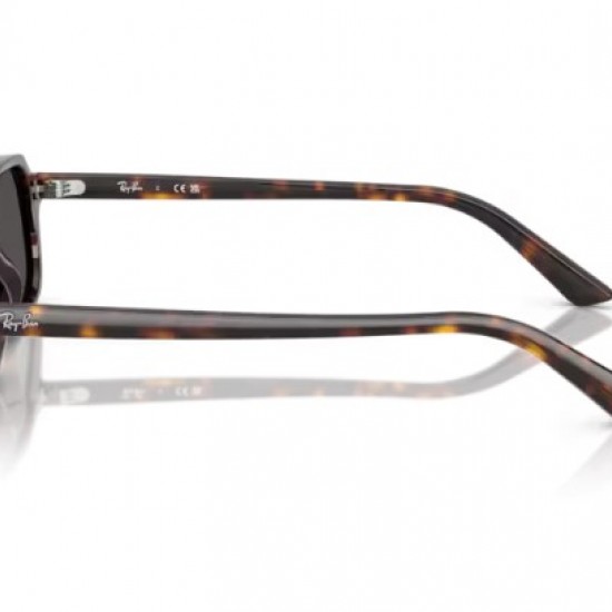 RAY-BAN 4455 135987 52-19-145