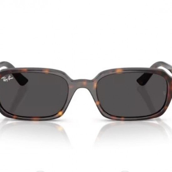 RAY-BAN 4455 135987 52-19-145