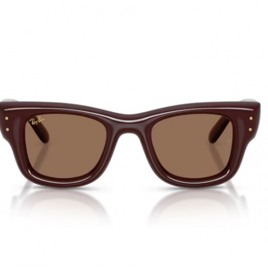 RAY-BAN 4940 687773 47-23-145